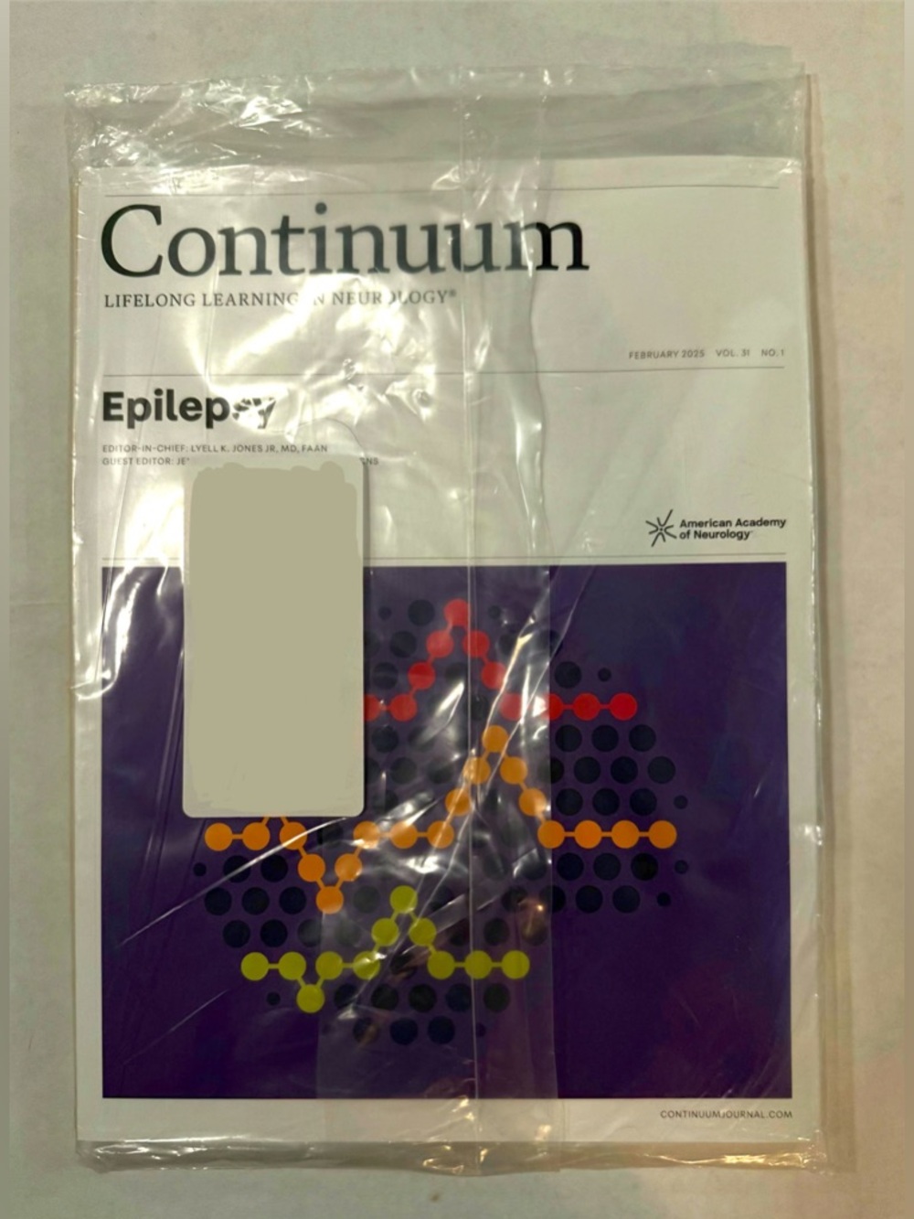 Continuum Epilepsy Feb 2025 | Volume 31 | Issue 1